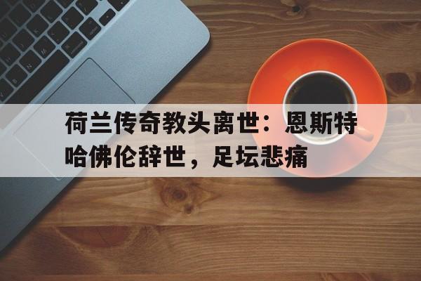 九游游戏中心官网在线-荷兰传奇教头离世：恩斯特哈佛伦辞世，足坛悲痛